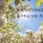 [댓글부탁해] 우리학교에 진심 개같은 애 한명있음