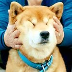 [댓글부탁해] 토니모리 <b>팬더</b>크림