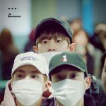 [찬열] 찬<b>열심</b>쿵사진