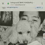 [BAP] 미친 논융이