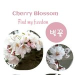 구경하세요~ 아름다운 봄 향기와 화사한 <b>색채</b>~ 당신을 꽃 천국으로 인도...