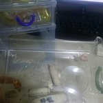 섹상에 이게<b>모람</b>