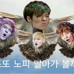 [EXO] 내 <b>위로</b> 글쓰는 ㅇㄱㄹ들은 둘기들 섹~~파!!