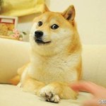 [댓글부탁해] 남자처럼 <b>숏</b><b>컷</b>해보고싶은데...
