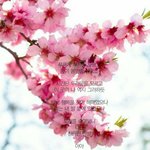 [방탄소년단] 힘들고 지친 <b>이</b>삐들을 위해
