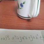 [애두라수학] 제발 도와줘 기본<b>상식</b>이야!알려줘!
