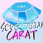 [세븐틴] ㅂㅅㄷ)이거 써도되는건가?