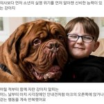 <b>신비</b>한 능력의 개
