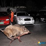 메갈 언니들 우리 힘내요 !