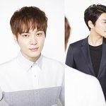 남연예인 비율 <b>top</b>