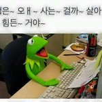[조언부탁해] 나친구들<b>무리</b>에서은따인듯