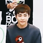 [EXO] 막콘가는데