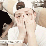 [EXO] 콘서트장 갈때 뭐 가져가?