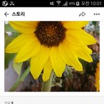 [조언부탁] <b>오원춘</b>보다 악마같은 새키