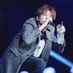 [세븐틴] 워누이짤왠지