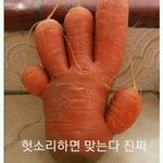 [세븐틴] 나만컴백할때<b>정한</b>이머리자를거같니