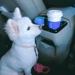 [방탄소년단] <b>아심</b>쿵....