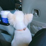 [방탄소년단] 귀<b>여어</b>ㅜㅜㅜ