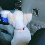 [방탄소년단] 주니ㅠㅠㅠ낮누야유ㅠ