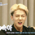 [EXO] ㅅㅂ<b>오빠</b>엑소입덕위기같음ㅋㅋㅋㅋㅋ