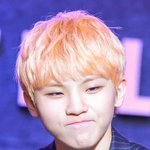 [세븐틴] ㅅㄷ) 나 팬싸 가게되면