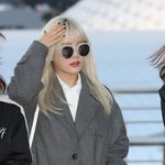 시선 집중 시킨 큐리