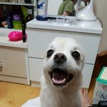 <b>내</b><b>눈</b>에만 이쁜가요?