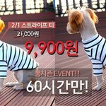 이런강아지<b>옷</b>어때요?