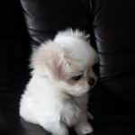 추가)용기내서 사진 올려요