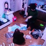 [세븐틴] 오 <b>동상</b>2몽재방보다가