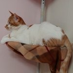 나의 동거남 <b>도칠</b>이 나에게서 멀어져간다.