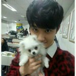 [EXO] 이거 강아지 넘 야해