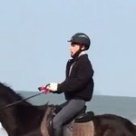 [방탄소년단] <b>미친개</b>귀엽잖아
