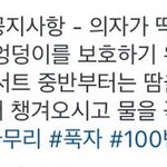 [백현] ㄹㅇ 변다정 백현이ㅋㅋ