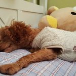 [개깊은빡침] 성추행 당한 것보다 억울했던 신고 그 이후