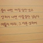 저는 알코올중독자입니다