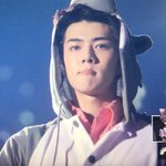 [EXO] 세후니는 무서운 아가 늑대<b>얌</b> ! ! !