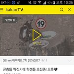 [EXO] <b>곤충</b>도 섹스를 하는데