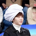 [세븐틴] ㅂ...범이....ㄴ....은....ㅂ..부...ㅅ....