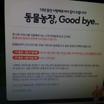 [드루와] 헐 주니버 동물농장 <b>종료</b>된대..