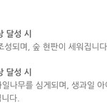 [세븐틴] 세븐틴 숲