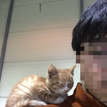 회사 홍일점 고양이 <b>빌리</b>입니당^^