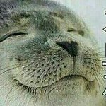 건성들 피지오겔 써보셈 ㄹㅇ <b>혁명</b>