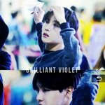 [방탄소년단] 근데 호도기는 어떻게