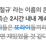 실제로 했으면 무조건 갈 콘서트