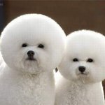 [조언부탁해] 남녀<b>분반</b>인데 관심있는애가 생겼어 어떡하지ㅠㅠㅠ