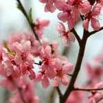 미치겟다..<b>여친</b>잇는남자애가너무좋다