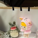 구준회 <b>사진</b> 루머 <b>구도</b> 관련