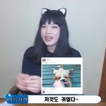 [인공] 인공눈물 루핑점안액관련해서 페북스타 이주한이 만든 영상이...
