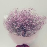 [댓글부탁해] <b>전신</b>거울 원래 배송이 느려?